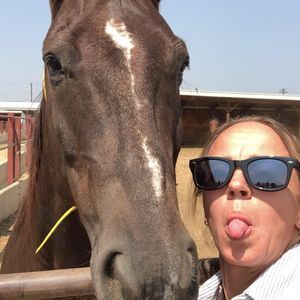 Meet your Posher, Julie colt hearted